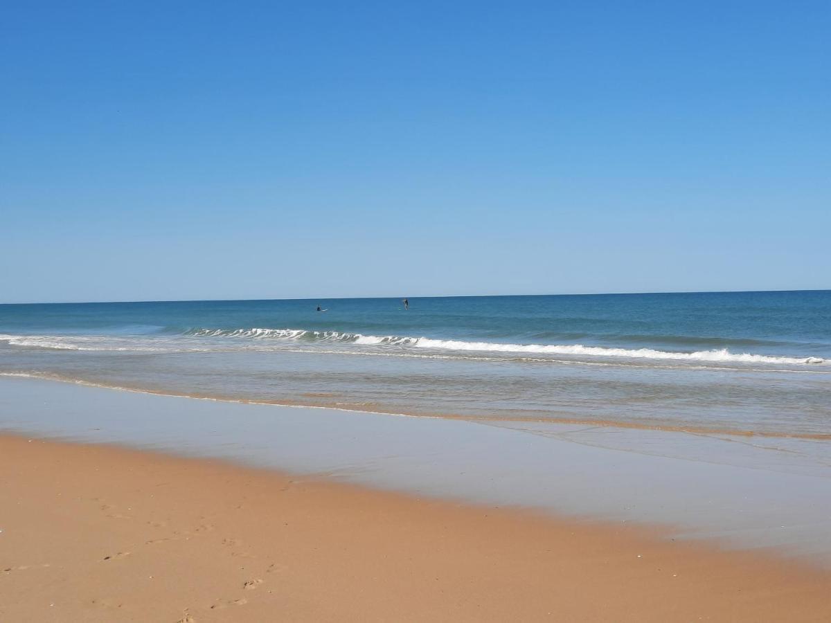 Location Terre * Le Temple (Gironde)